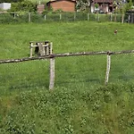 My Little House