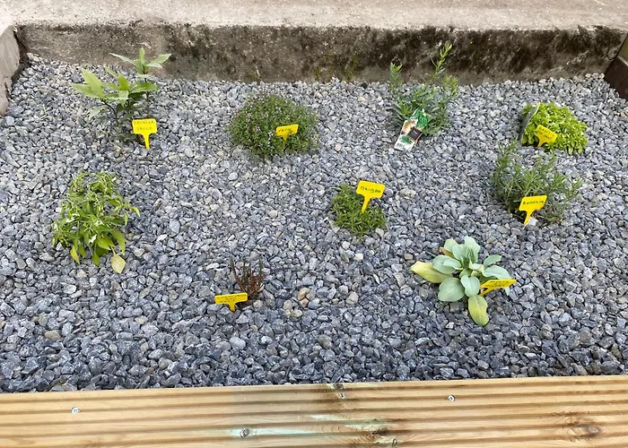 My Little House بيت للعطل ستافيلوت